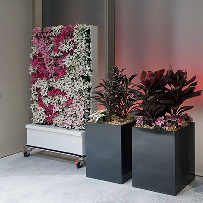 Tpr Cabinet Green Wall Integrated Design Indoor Plants